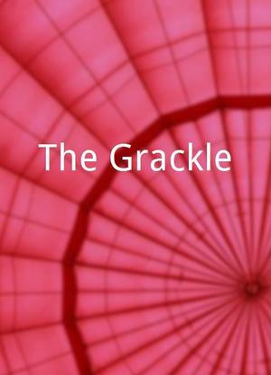 The Grackle海报封面图