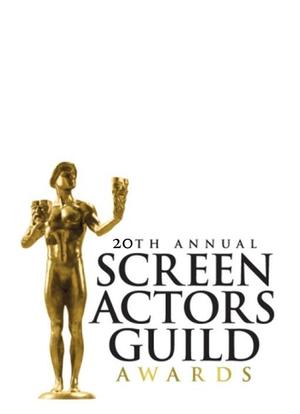 The 20th Annual Screen Actors Guild Awards海报封面图