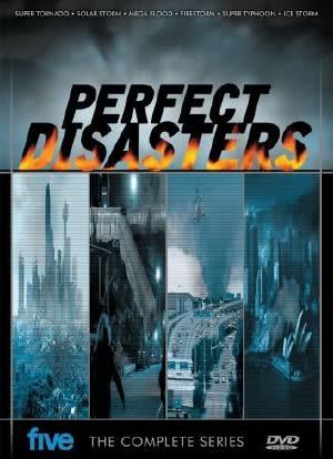 Perfect Disaster海报封面图