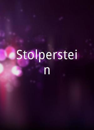 Stolperstein海报封面图