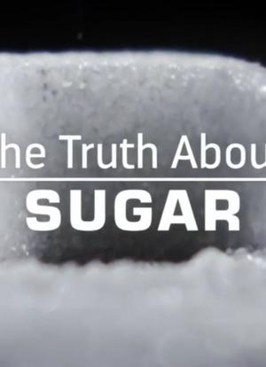 糖的真相海报封面图