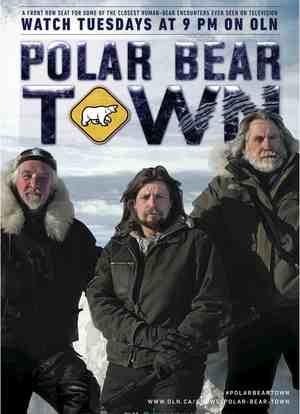 Polar Bear Town海报封面图