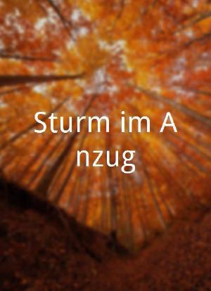 Sturm im Anzug海报封面图