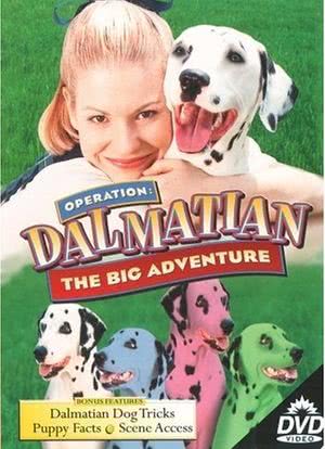 Operation Dalmatian: The Big Adventure海报封面图