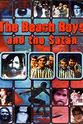 Bob Spickard Pop Odyssee 1 - Die Beach Boys und der Satan