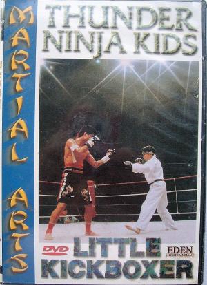 Little Kickboxer海报封面图