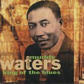 The Kennedy Center Presents: A Tribute to Muddy Waters: King of the Blues