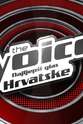 Aljosa Seric The Voice: Najljepsi glas Hrvatske