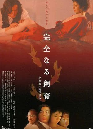 Kanzen-naru shiiku: Himitsu no chika-shitsu海报封面图