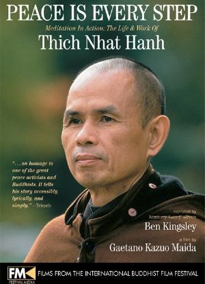 Peace Is Every Step: Meditation in Action: The Life and Work of Thich Nhat Hanh海报封面图