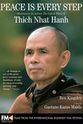 Maxine Hong Kingston Peace Is Every Step: Meditation in Action: The Life and Work of Thich Nhat Hanh