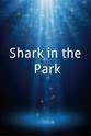 Pat Evison Shark in the Park