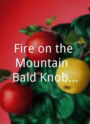 Fire on the Mountain: Bald Knobbers as Heroes or Villains of the Ozarks Frontier?海报封面图