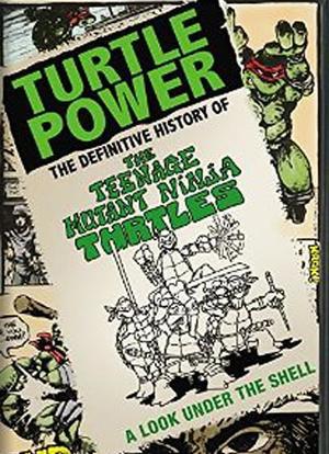 神龟力量：忍者神龟简明史海报封面图