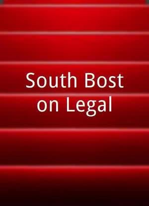 South Boston Legal海报封面图