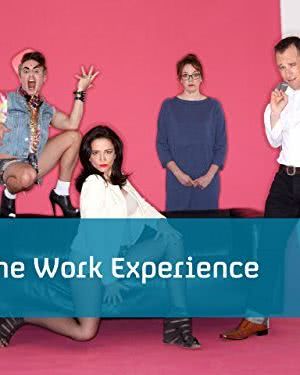 The Work Experience海报封面图