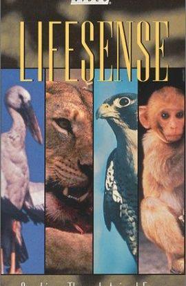 Lifesense: Our Lives Through Animal Eyes海报封面图