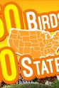 John Armour 50 Birds, 50 States