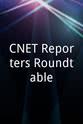 Rafe Needleman CNET Reporters Roundtable