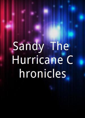 Sandy: The Hurricane Chronicles海报封面图