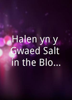 Halen yn y Gwaed/Salt in the Blood IV海报封面图
