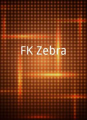 FK Zebra海报封面图