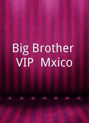 Big Brother VIP: México海报封面图
