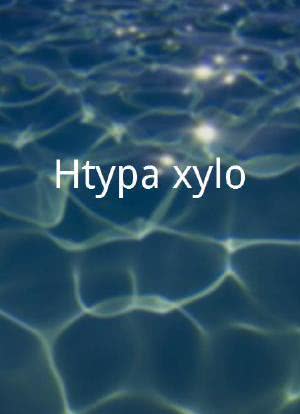 Htypa xylo海报封面图