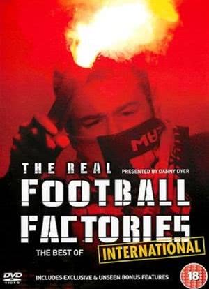 Football Hooligans International海报封面图