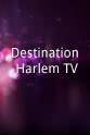 Lydia Patel Destination Harlem TV