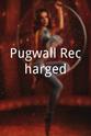 Louise Hall Pugwall Recharged