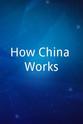 Vicky Linn How China Works