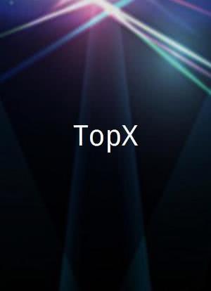 TopX海报封面图