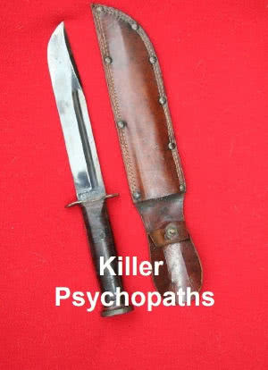 Killer Psychopaths海报封面图