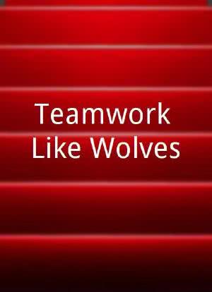 Teamwork Like Wolves海报封面图