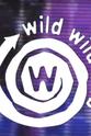 Alan Chebot Wild Wild Web