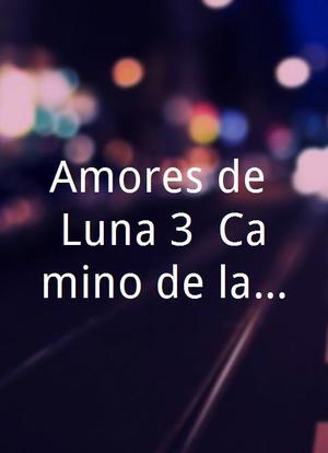 Amores de Luna 3: Camino de la Vida海报封面图