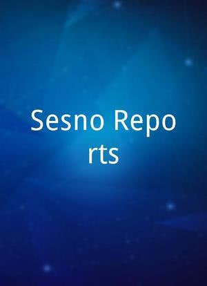 Sesno Reports海报封面图