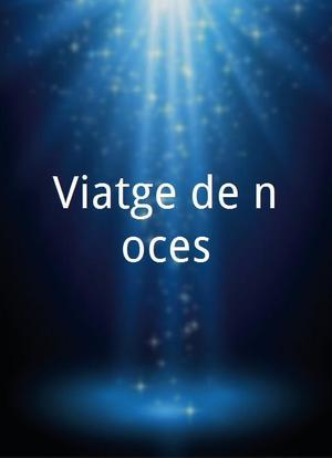 Viatge de noces海报封面图