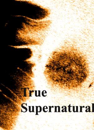 True Supernatural海报封面图