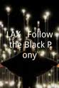 Kevin Dollerschell LAX - Follow the Black Pony