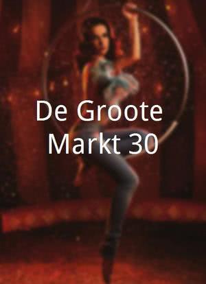De Groote Markt 30海报封面图