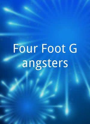 Four Foot Gangsters海报封面图