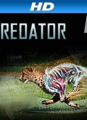 I, Predator海报封面图