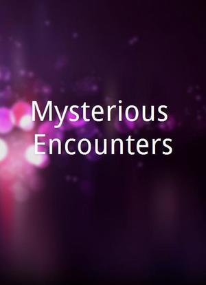 Mysterious Encounters海报封面图