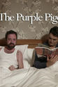 Andrew Doree The Purple Pigeon