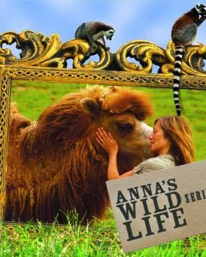 Anna`s Wild Life海报封面图