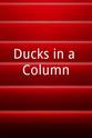 Danielle Lyon Ducks in a Column