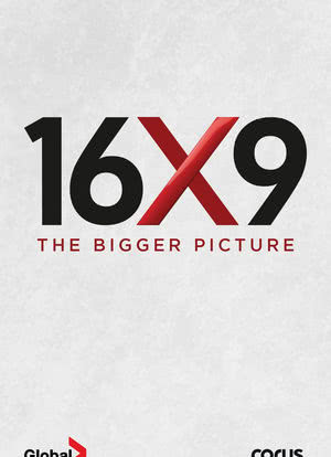 16x9: The Bigger Picture海报封面图
