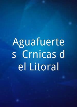 Aguafuertes, Crónicas del Litoral海报封面图